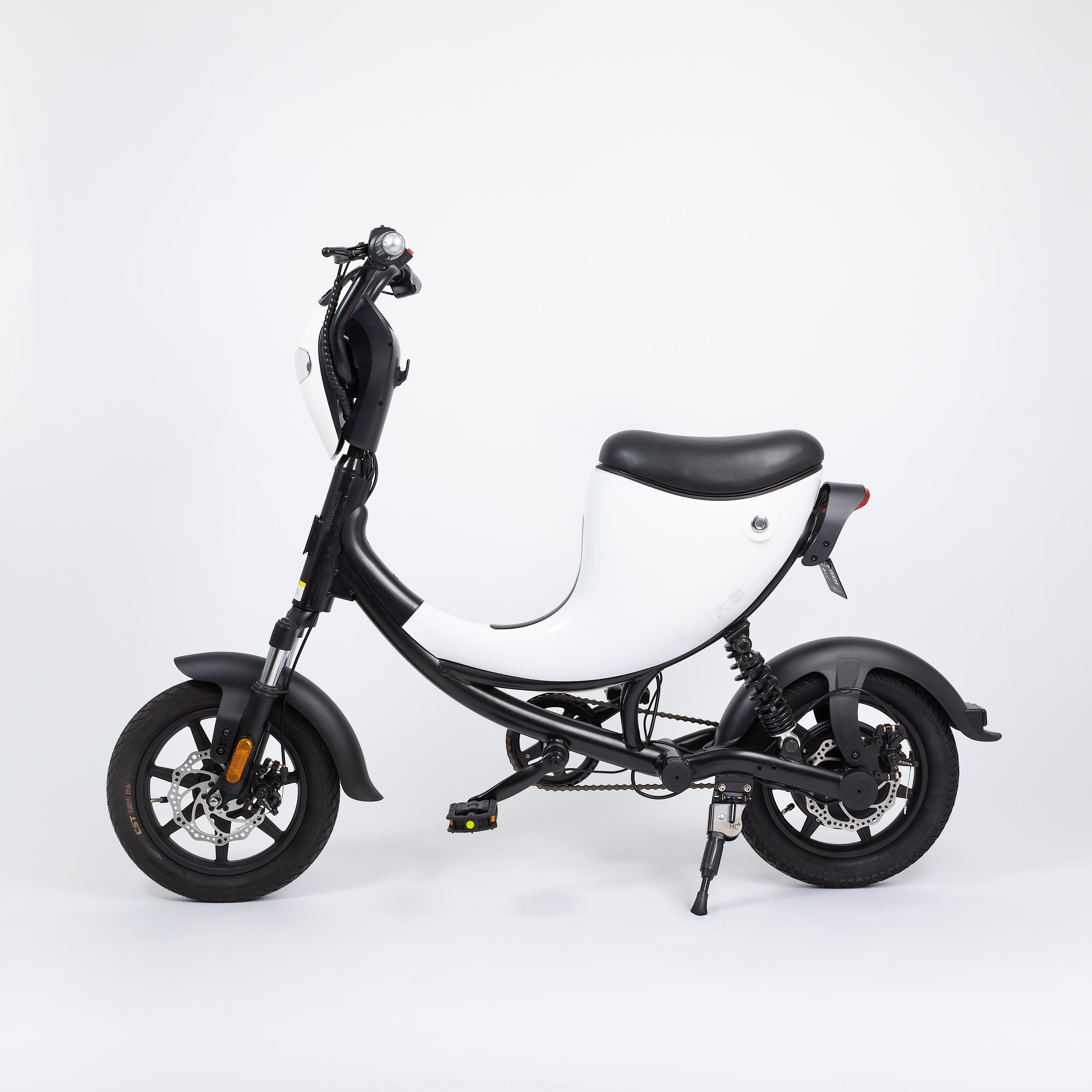 DYU L1 EGRET ELECTRIC BIKE